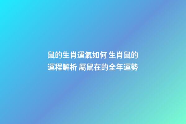 鼠的生肖運氣如何 生肖鼠的運程解析 屬鼠在的全年運勢-第1張-觀點-玄機派
